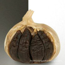 Professional Top Quality Black Garlic Export